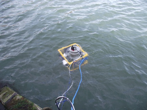 water.jpg