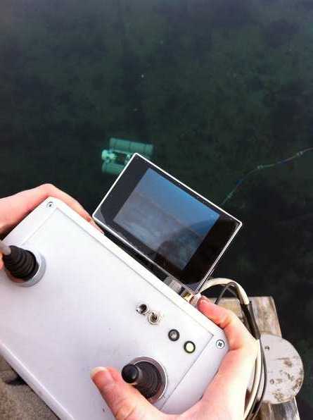 remote.jpg